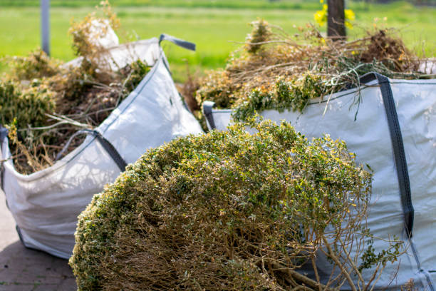 Attic Cleanout Services in South Riding, VA